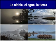 La_niebla2C_el_agua2C_la_tierra.txt