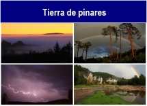 Tierra_de_pinares.txt