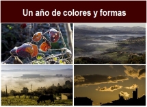 Un_ano_de_colores_y_formas.txt