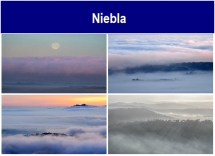 Niebla.txt