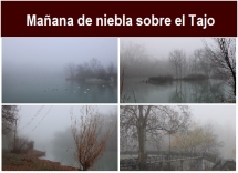 Manana_de_niebla_sobre_el_Tajo.txt