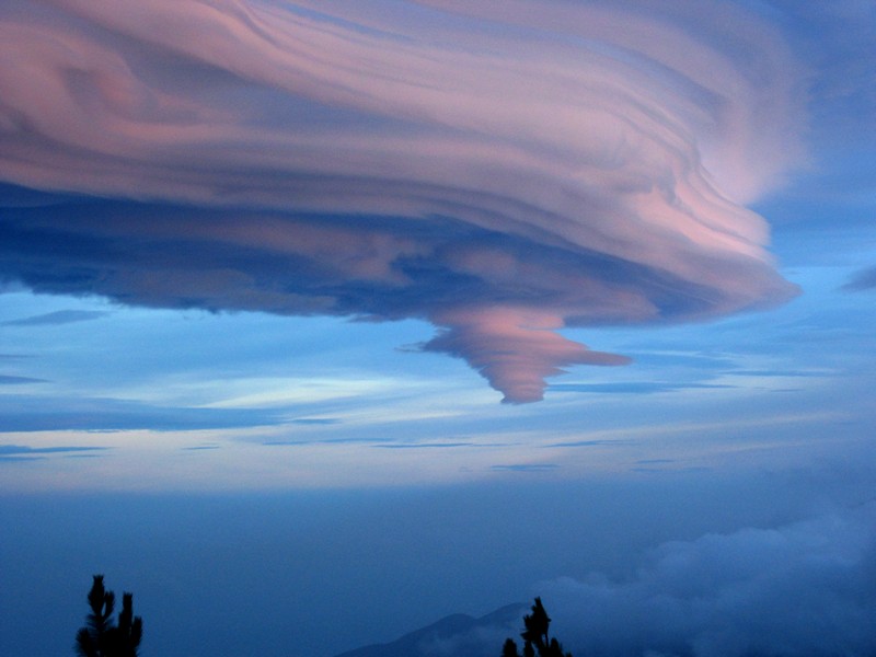 Altocumulus rascacielis VI
Espectacular Ac lenticular sobre el Este de La Palma, que recibió ese nombre en el foro de Meteored
Más fotos de esta nube aquí:
[b]http://www.youtube.com/watch?v=PMSzF2lZpiw[/b]

