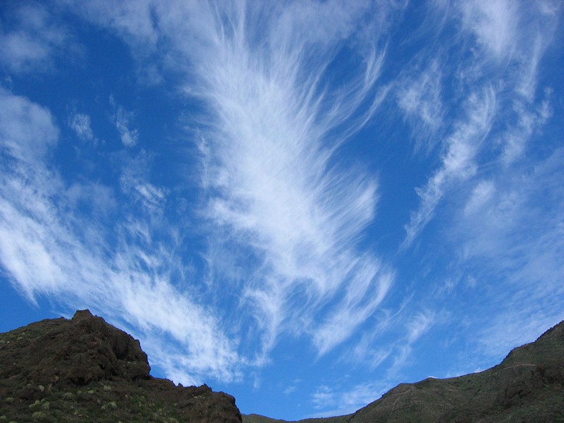 Cirrus vertebratus
Cirrus vertebratus sobre el cielo de Teno (Tenerife)
