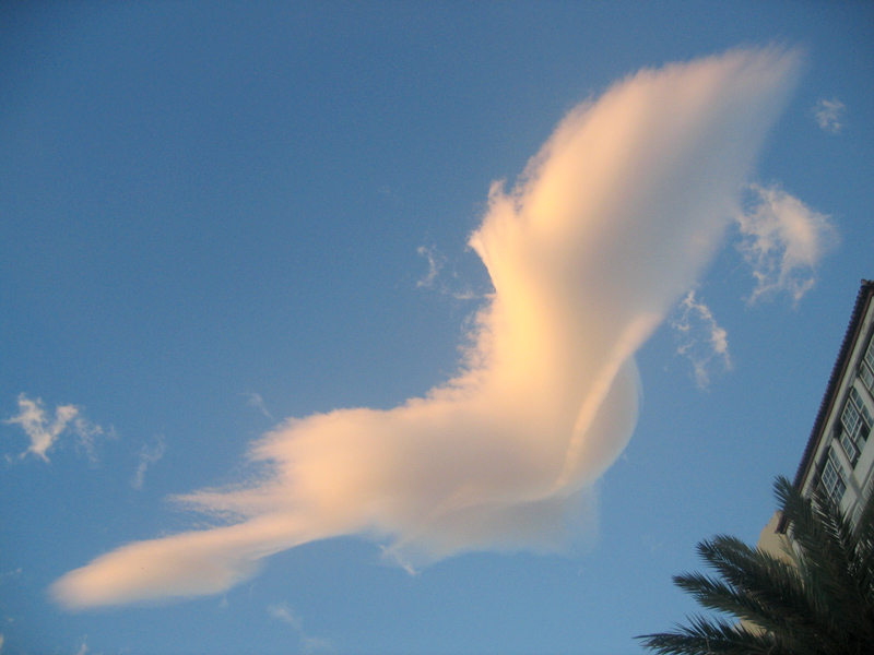 Bonita lenticular a primeras horas de la mañana sobre el cielo d eSanta Cruz de La Palma
