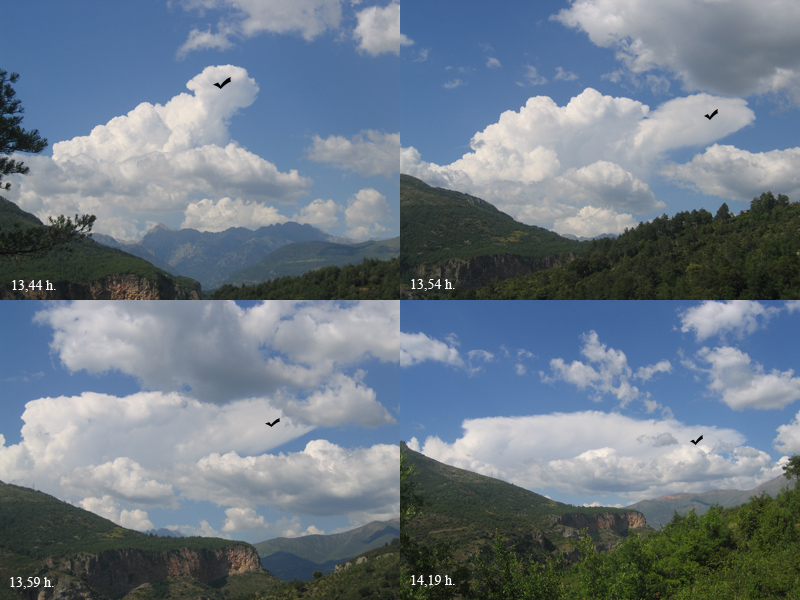Siguiendo la formación de un yunque
Estas cuatro fotografías están tomadas durante un paseo en Pirineos.
Se puede apreciar cómo se forma un incus a partir de un cumulus congestus.

Álbumes del atlas: secuencias_fotograficas