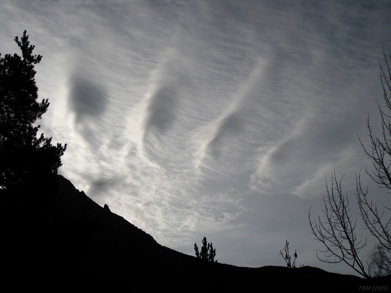 Ondas matinales sobre Posets II
Stratocumulus undulatus captados al amanecer desde las cercanías del Refugio de Biadós, en el Valle de Chistau, Pirineo de Huesca.
Las nubes estaban a unos 2500 msnm y se desplazaban de derecha a izquierda en la imagen (de Oeste a Este), adoptando esas curiosas ondulaciones al aproximarse a las altas cimas del macizo de Posets (que quedaba ligeramente a la izquierda en la imagen) 
Intenté sacarles un vídeo timelapse pero era complicado debido a los árboles, no obstante se puede ver un pequeño vídeo de estas nubes en el segundo vídeo que aparece en este montaje:
[b]http://www.youtube.com/watch?v=yGbvFBnjBDQ[/b]

Álbumes del atlas: undulatus