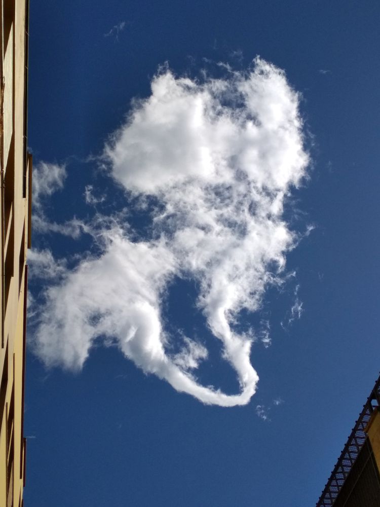 Atlas: Nube herradura
Desde una calla de santa Cruz de La Palma, levanto la vista al cielo y me encuentro esta sorprendente "horse shoe cloud" que en pocos segundos se desvaneció
