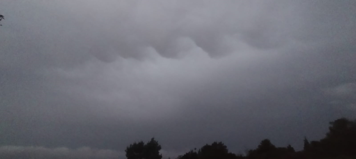 Fotografía tomada con el móvil a última hora de la tarde del 20 de agosto de 2024 en un ambiente de calima y abundante nubosidad media en las que surgieron estas formas que bien podrían pasar por nubes de tipo fluctus o mamma
