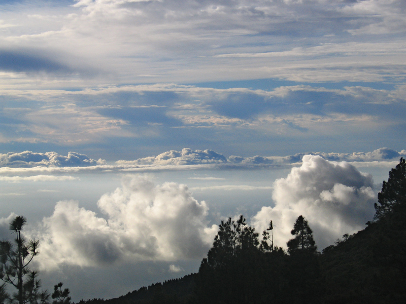 Cielo caótico sobre los Volcanes
Fotografía tomada desde la ruta de los Volcanes, en la Isla de La Palma, a unos 1700 msnm.
Nos encontramos entre dos capas de nubes, los típicos cúmulos y estartocúmulos del alisio por debajo, y por enima altocúmulos de "cielo caótico"
