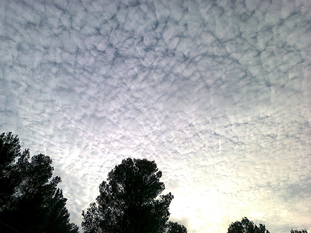 Altocúmulos cubriendo el cielo a pleno día
