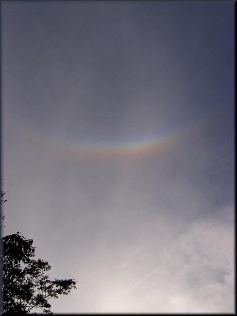Cirrostratus nebulosus y arco circuncenital 
"Arco circuncenital"

El arco circuncenital aparece en el cielo como un arcoiris invertido.
