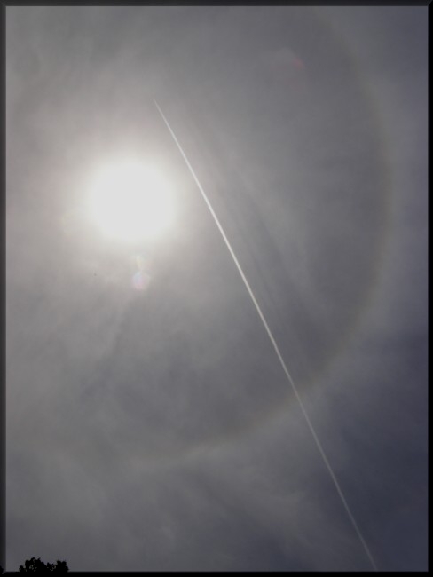 Cirrostratus nebulosus con halo de 22º y estela de condensación
"Halo y estela de condensación"

Curioso efecto de la estela de un avión cruzando un halo solar, parece una flecha lanzada a la diana.
