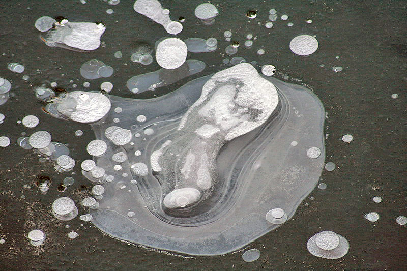 IMG 3618-1
Burbujas de aire atrapadas en el hielo.
