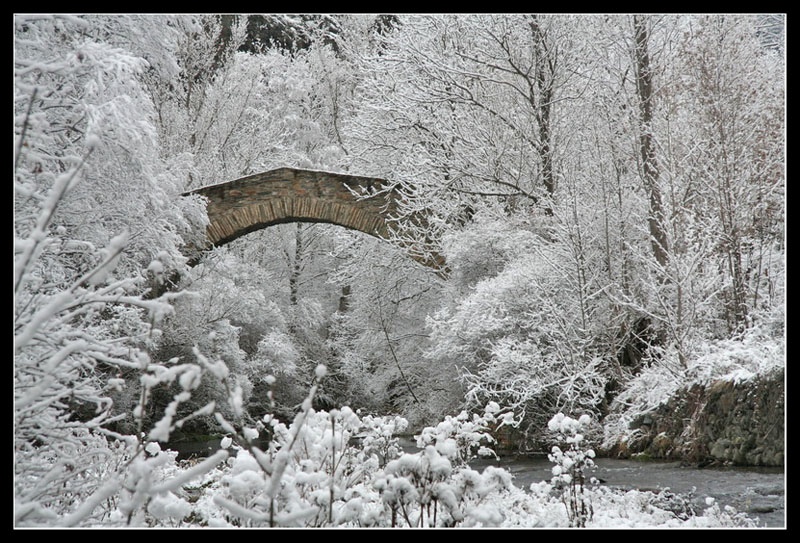 IMG 5997
Los árboles nevados junto al río casi camuflan en su totalidad el puente románico de Cassibrós, en el valle de Cardós.
Álbumes del atlas: paisaje_nevado
