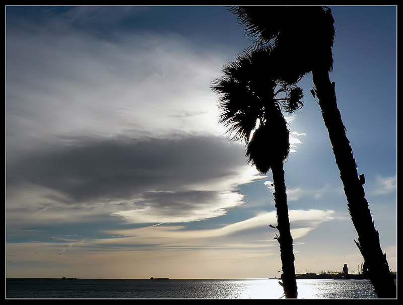 Lenticular
Nubes lenticulares sobre el Mediterráneo una tarde del mes de febrero.
