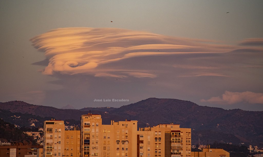 Lenticular 
