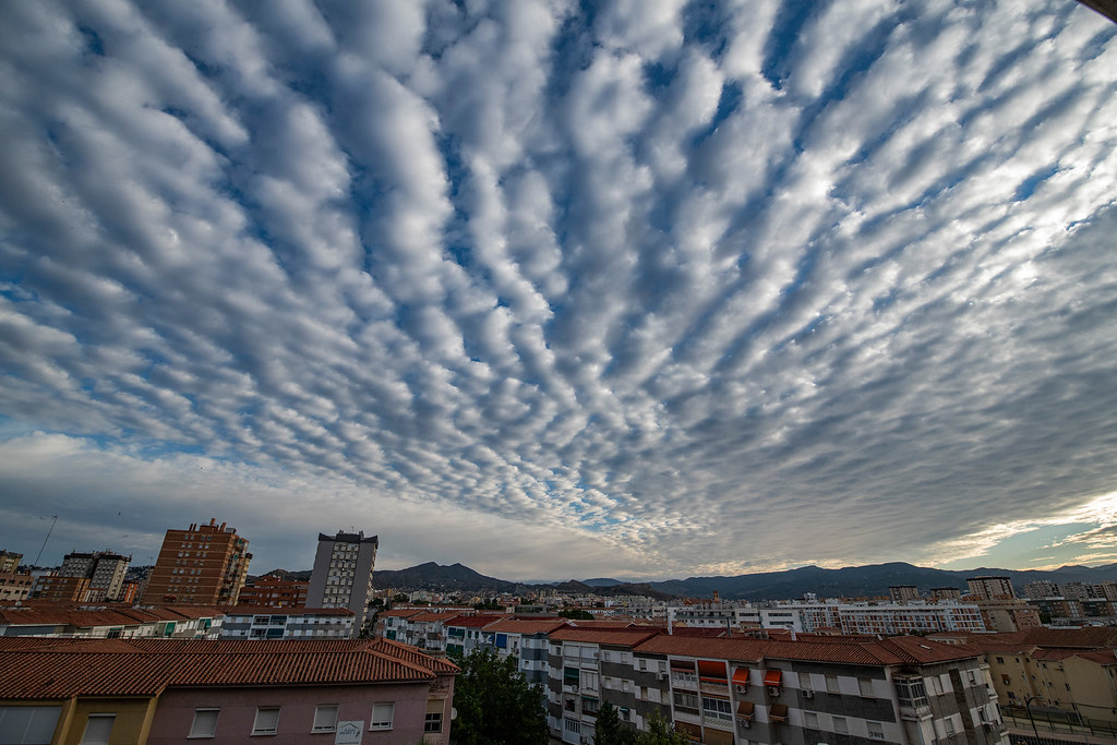 Altocumulus ondulatus
