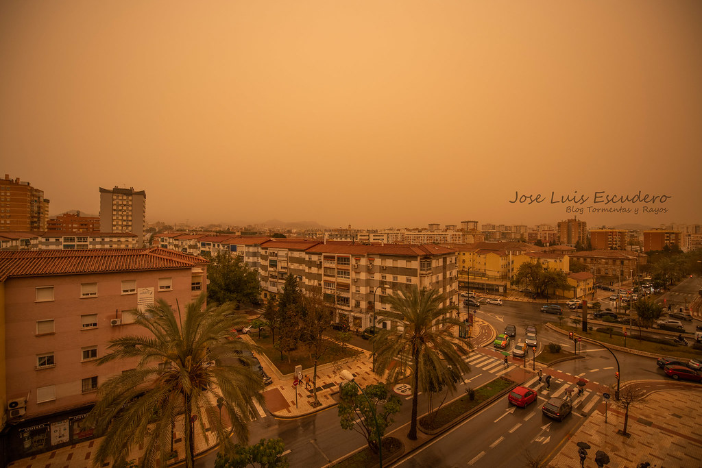 Calima en Málaga capital
