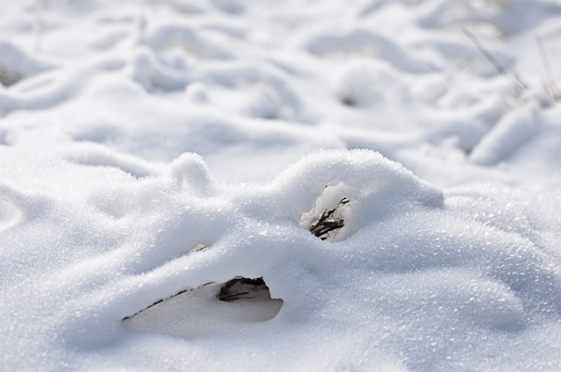 Nieve I
Álbumes del atlas: naturaleza
