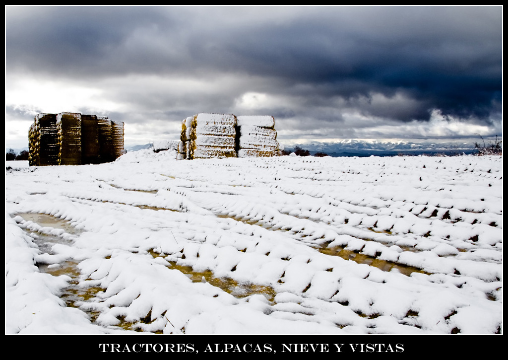 webmarcoAgricultura
Imágenes típicas de las zonas agrícolas de la Rioja Alta o la Sierra de Cantabria tras las nevadas del invierno. Esta es de Diciembre de 2008. Al fondo se ve la Sierra de la Demanda.
