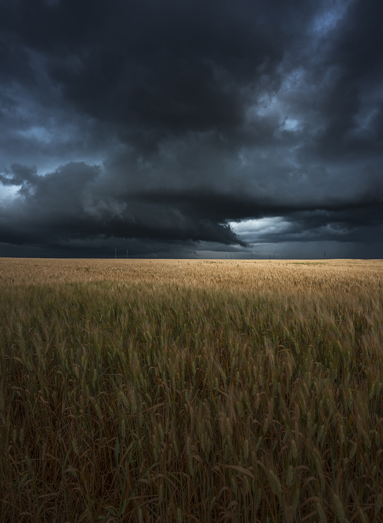 Campos de tormenta
Una tormenta alejándose en los campos sevillanos mientras asomaban los primeros rayos de sol 
Álbumes del atlas: zfp21
