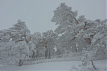 GGQ402_Z002487.jpg