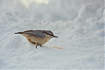 GGQ402_Z002549.jpg