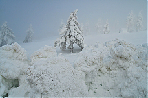 HAO562200_0382.jpg