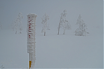HAO562200_0398.jpg