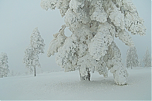 HAO562200_0419.jpg