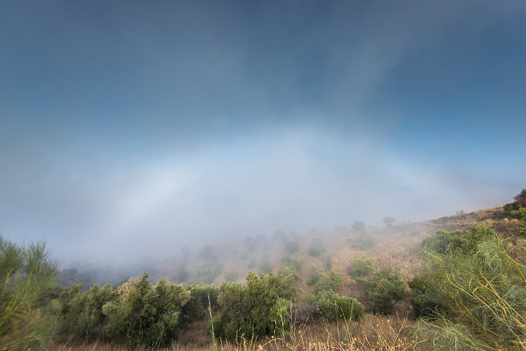 Arco de niebla
Álbumes del atlas: ZFV17 arco_de_niebla