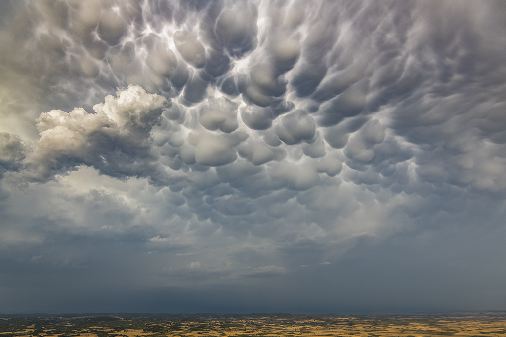 Gigantes
Tremendas nubes mammatus en la región de las Cinco Villas en Zaragoza de una tormenta que afectaba a Huesca
Álbumes del atlas: zfv20 mamma