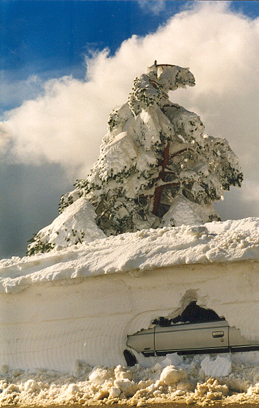 Coche sepultado por la nieve
Imagen tomada en el aparcamiento que había nada más bajar el puerto de Navacerrada dirección Madrid, aproximadamente a 1.800 metros de altura y tres días después de la nevada.
