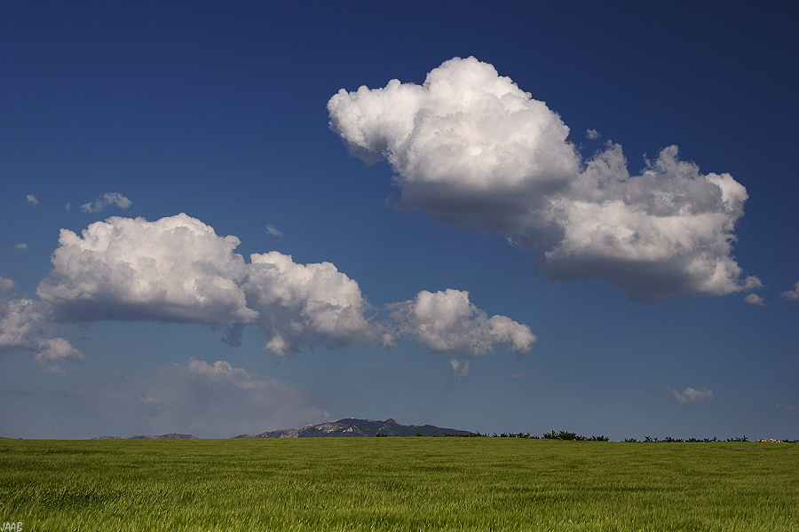 Cumulus mediocris
Quien no se ha ensimismado alguna vez observando el cambiante proceder de los cúmulos en medio de un cielo limpio y azul.
