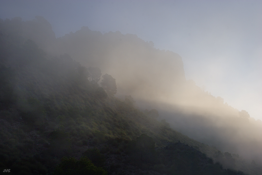 Neblina en la sierra
Un amanecer invernal envuelto en la neblina. Una mezcla de sol, frío y atmósfera turbia y húmeda.
