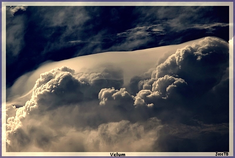 Velum
Fina capa de nubes de tipo velum cubriendo la parte superior de unos potentes cumulus congestus  que se encuentran en pleno desarrollo 

