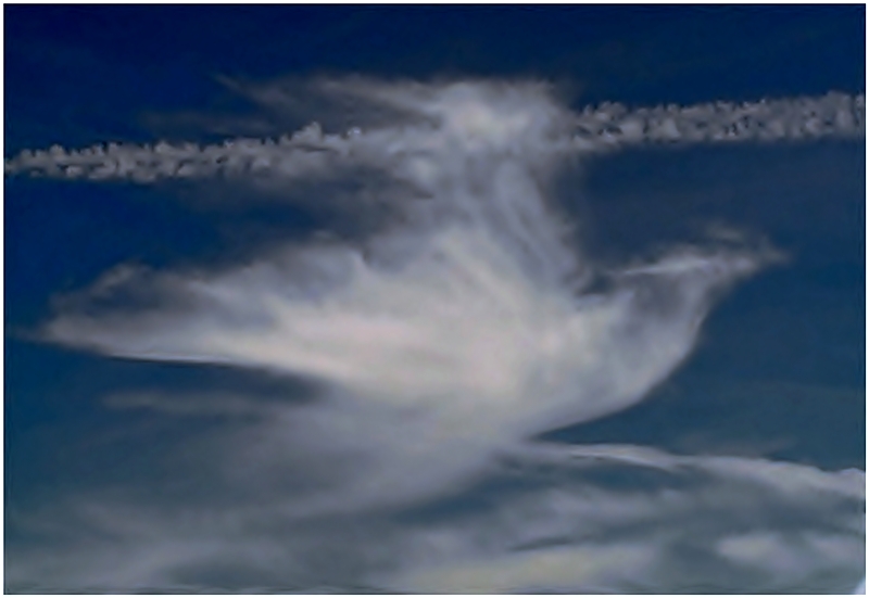 Nube Paloma
Nube en forma de paloma, probablemente un Cirrocumulo visto entre Burgos y Palencia

