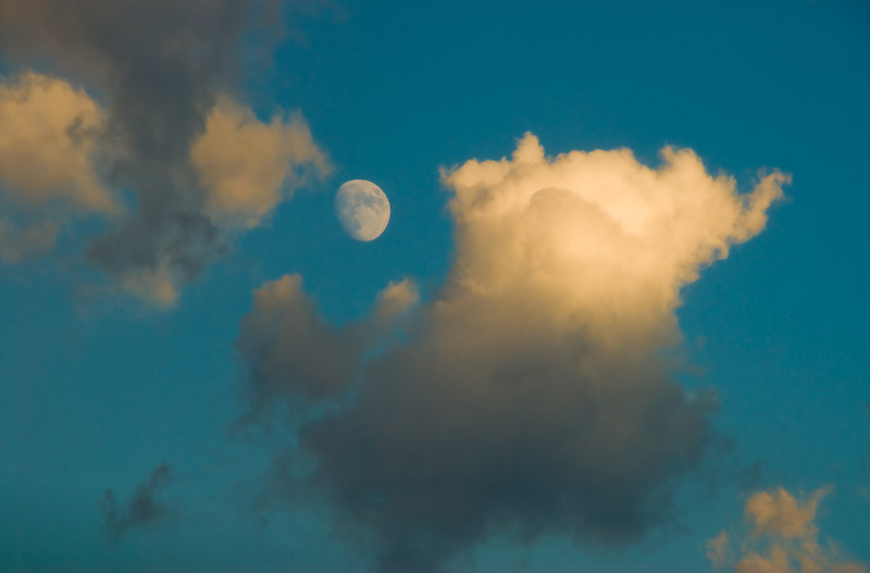 Cumulus
"La luna y las nubes". Atardecer sobre los campos de Teruel
