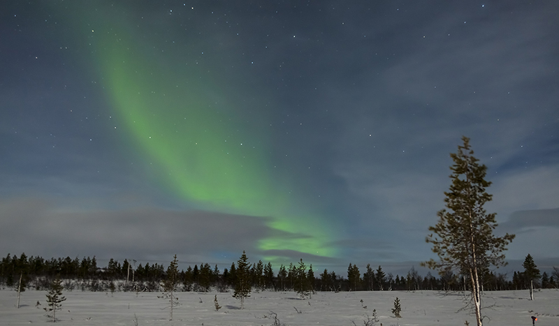 LUCES DEL NORTE
Imagen de una aurora boreal fotografiada con la luz de la Luna, de ahí que se vea el cielo y la nieve tan iluminados como si casi fuese de día.
