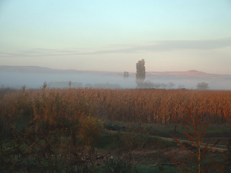 Amanecer otoñal en la Ribera de Navarra
Fotografía tomada en la fértil ribera del Ebro de Navarra, en la localidad de Lodosa. La noche fue fresca y se formo neblina en torno al cauce del río.
