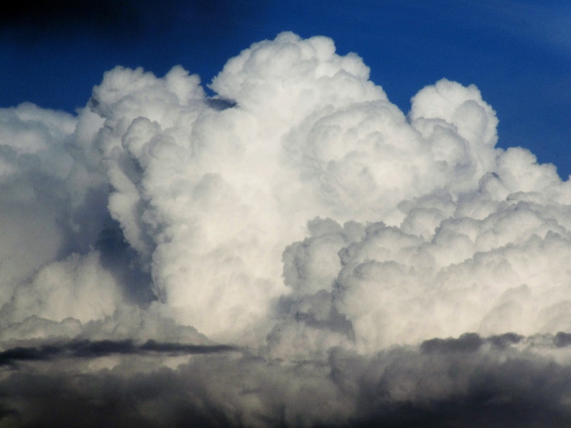 Detalle de nubes cumuliformes
Nubes en transición de Cu congestus a Cb calvus al NE de Santa Cruz de Tenerife, en la tarde del 10-03-2011, que estuvo marcada por la inestabilidad.
