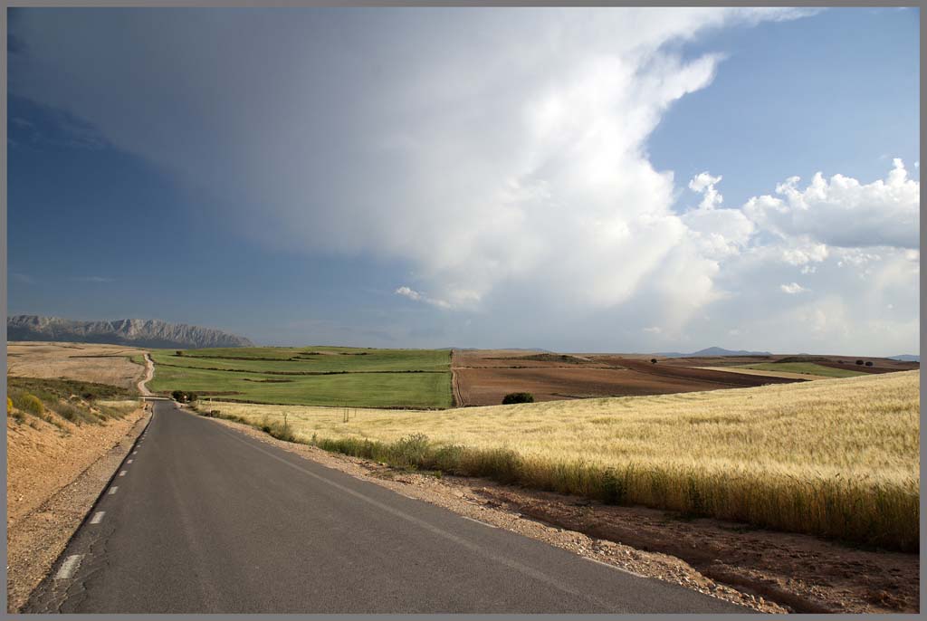 La senda del Cazatormentas
Paisaje veraniego de los campos de labranza, en la provincia de Almería, con nubosidad de evolucion. De hecho termino al final del día de formarse multiples focos tormentosos.
