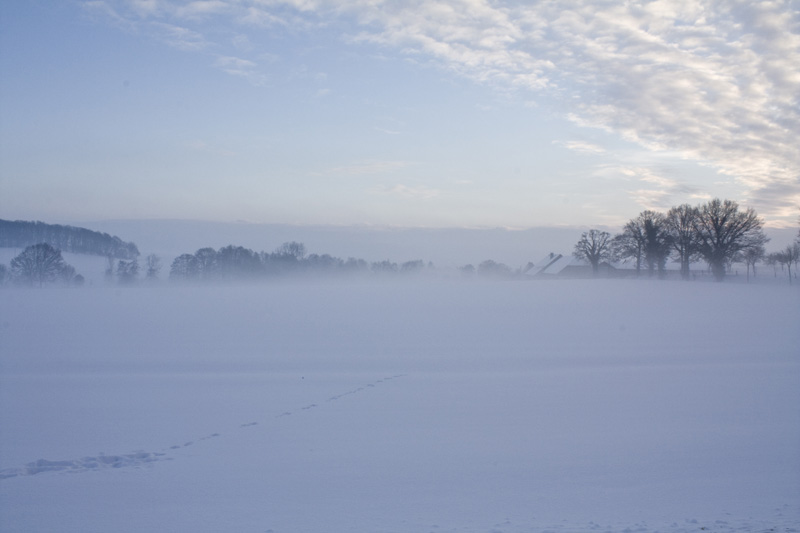 Winterland VI
Álbumes del atlas: niebla_desde_dentro
