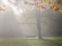 Nombre del archivo=251031-oly-148-Lrm-1200.jpg
Tamaño del archivo=819Kb
Dimensiones=1200x900
Fecha añadida=Diciembre 09, 2025 251031-oly-148-Lrm-1200.jpg