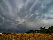 260723-oly-158-Lrm-1200.JPG