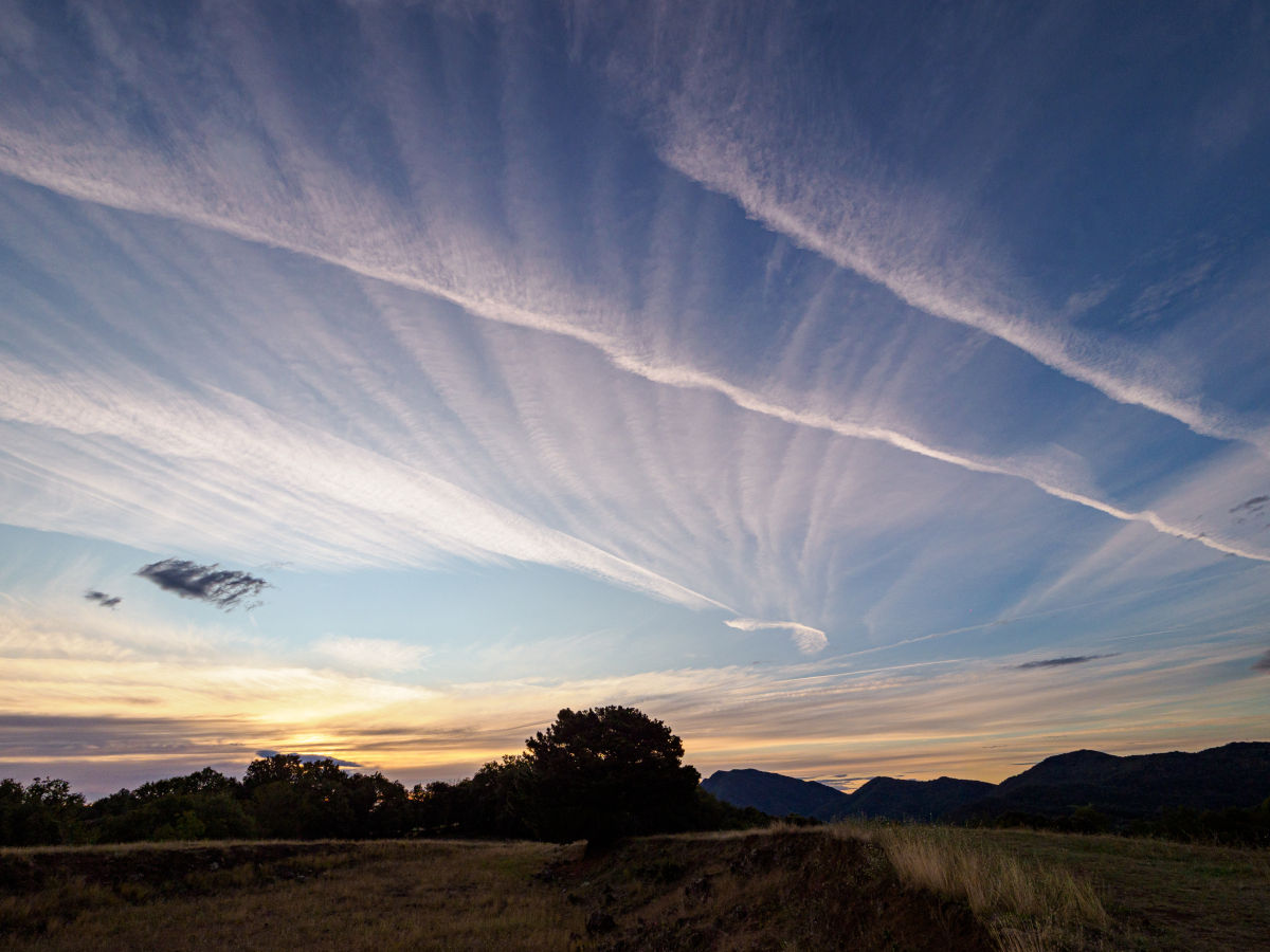 El día anterior terminó con lenticulares, y subí de madrugada hasta el volcán Aiguanegra a ver si tenía suerte.    Y sí, todavía había uno muy potente hacia el sur, por encima de la Serralada Transversal, no demasiado fotogénico. Pero mientras se iba haciendo de día el cielo se llenó de nubes delgadas y estelas de avión hacia levante. Parecía como si las nubes se formaran al deshacerse las estelas por el viento que las empujaba de forma más bien rápida hacia poniente.
