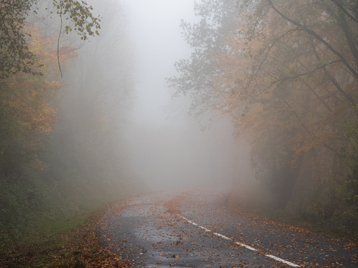 Después de la lluvia matutina quedó una espesa niebla en la carretera de acceso al Coll de Bracons, en un ambiente plenamente otoñal.
