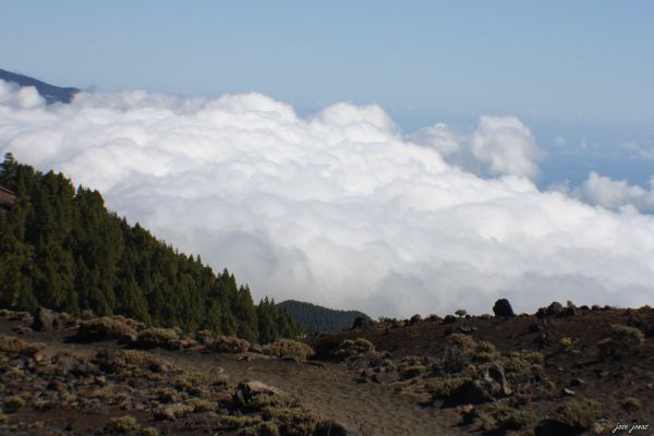 Ruta de los volcanes
la palma y sus volcanes
Álbumes del atlas: mar_de_nubes