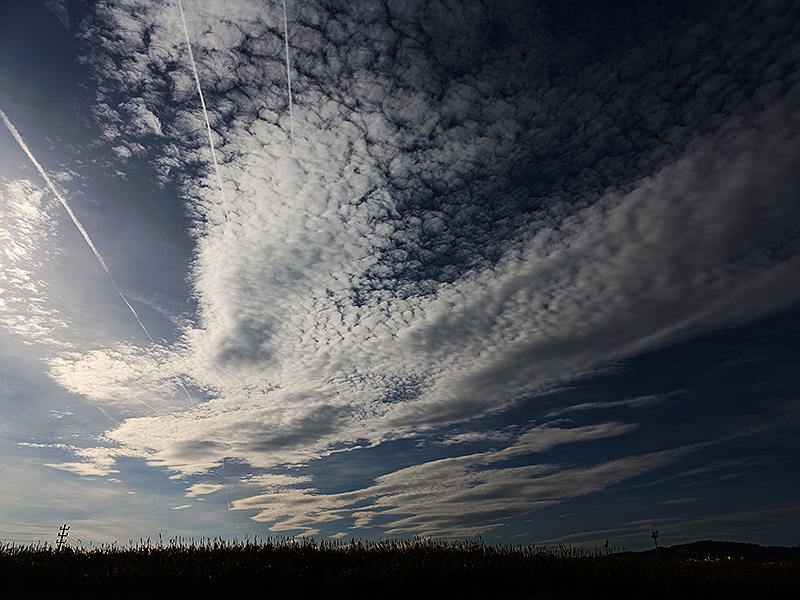 En este día estuvo soplando algo de viento de poniente que trajo estas fugaces formaciones de altocúmulos, pocos minutos después desaparecieron y dejaron en el cielo únicamente una fina tela de cirrostratus. 
