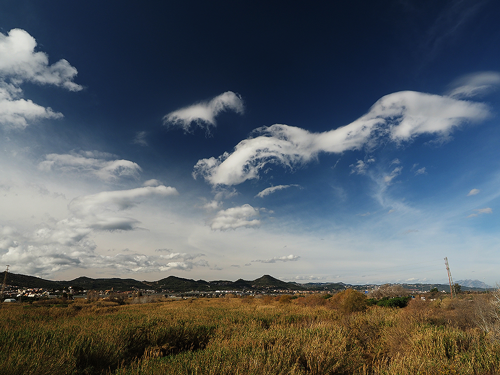 Este cielo se presentó durante el paso de un frente, bastante desgastado, que solo pudo enviar nubes altas y un fuerte viento que provocó estas alteraciones en unos estratocúmulos que empezaban a formarse. 
